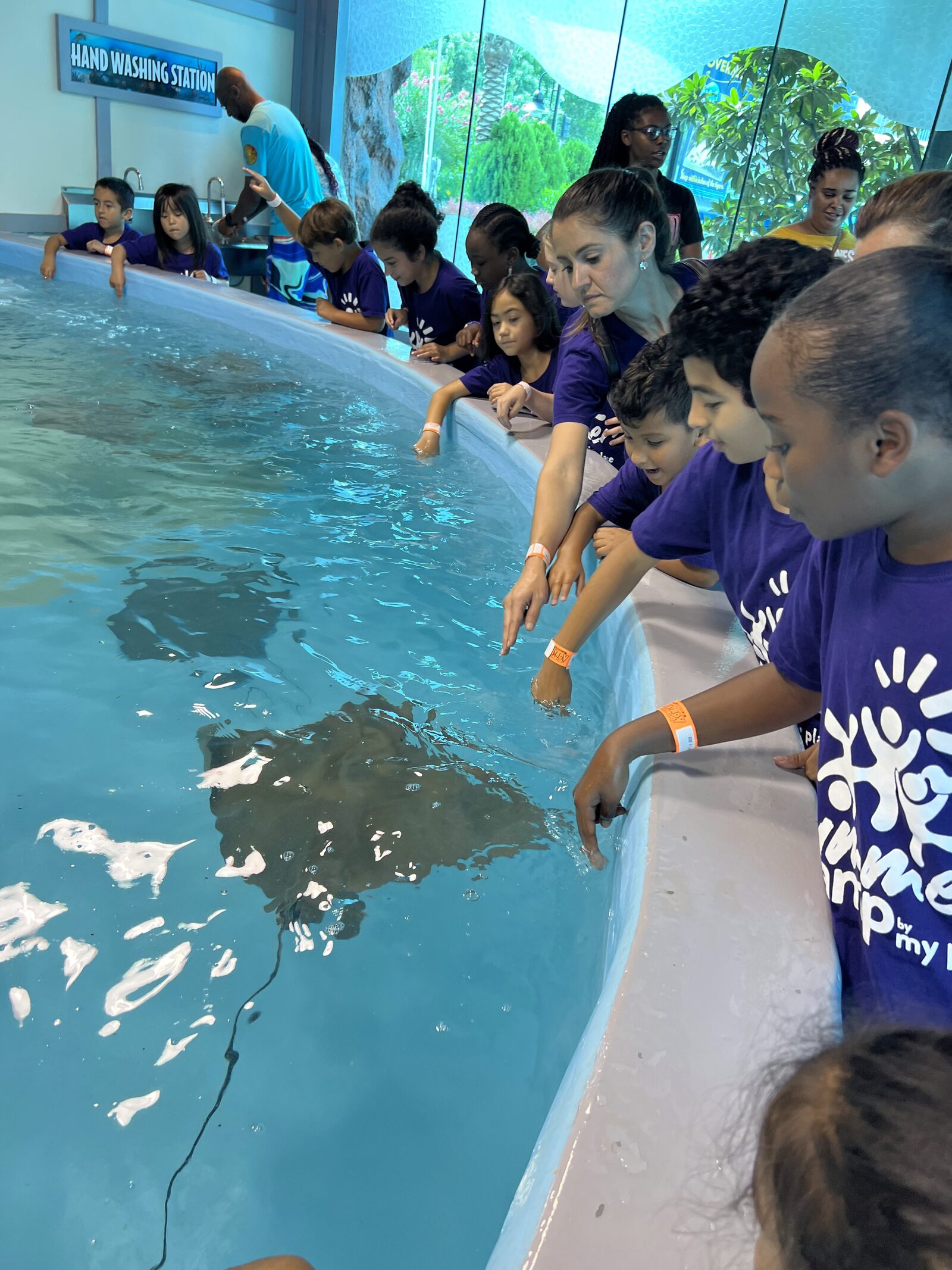 Summer campers visiting the aquarium with MyPlace, Katy TX