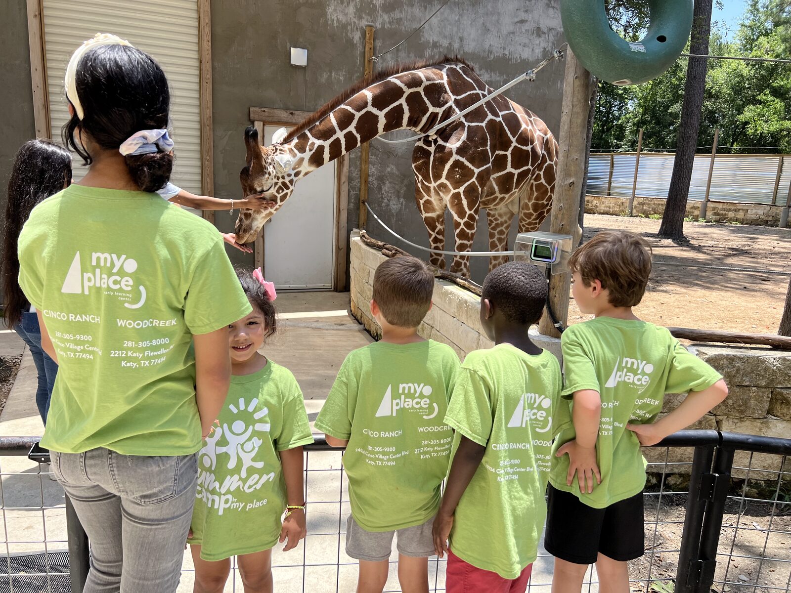 Summer campers meeting giraffes at the zoo with MyPlace, Katy TX