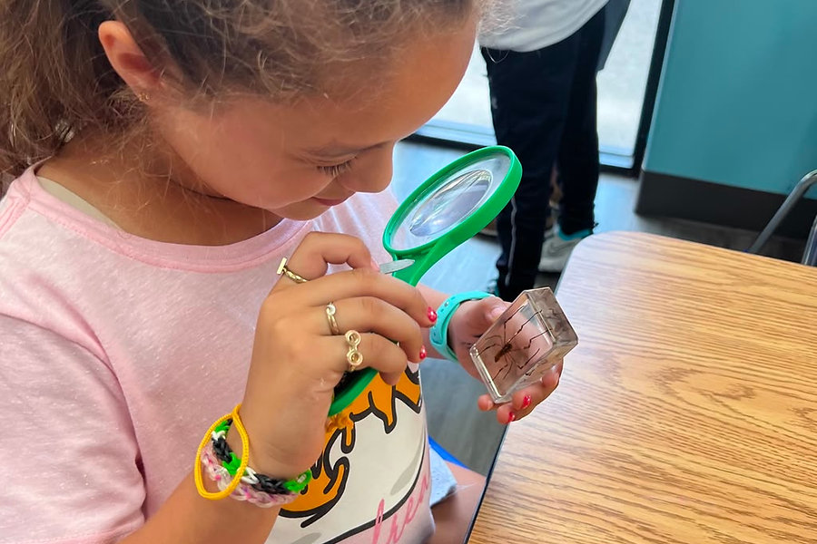 How STEAM Activities Help Schoolers Build Curiosity and Problem-Solving Skills